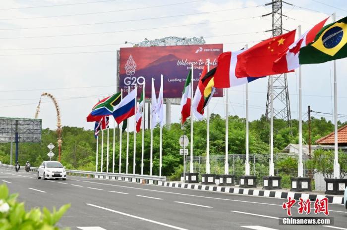 印尼巴厘島道路上G20成員國(guó)的國(guó)旗及歡迎海報(bào)。 中新社記者 李志華 攝