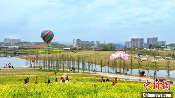 湖北宜昌卷橋河濕地公園內(nèi)，市民相伴享受都市里的田園之樂 周星亮 攝