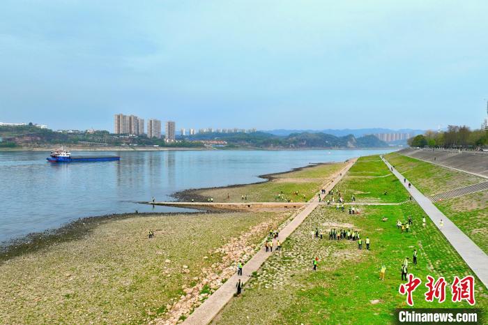 在宜昌城區(qū)長江岸畔，市民化身“護江使者”沿江而行 周星亮 攝