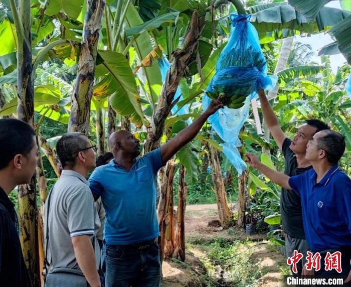 在金融危機(jī)國(guó)家助農(nóng)是什么體驗(yàn)？專訪“中國(guó)-FAO-斯里蘭卡南南合作”項(xiàng)目團(tuán)隊(duì)隊(duì)長(zhǎng)