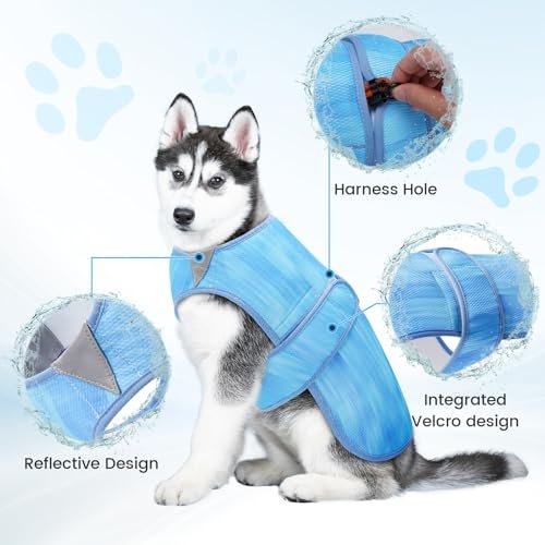 Best Dog Cooling Vest