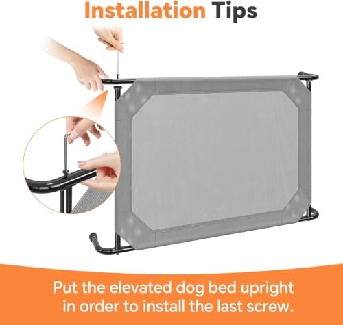 Best Elevated Dog Bed