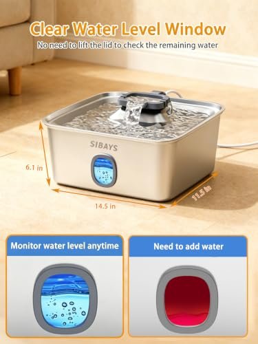 Best Automatic Water Fountain For Dogs