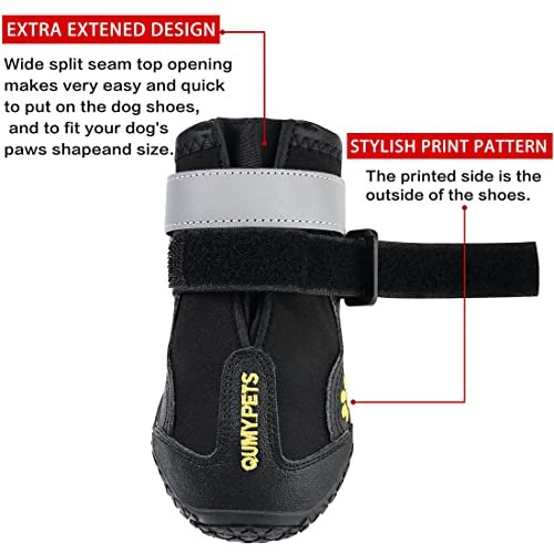 Best Dog Boots
