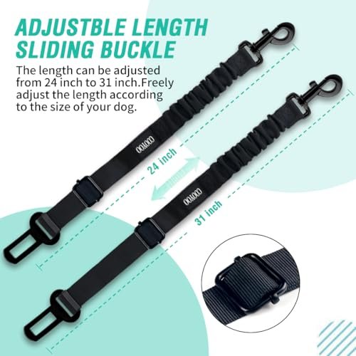 Best Dog Seat Belt