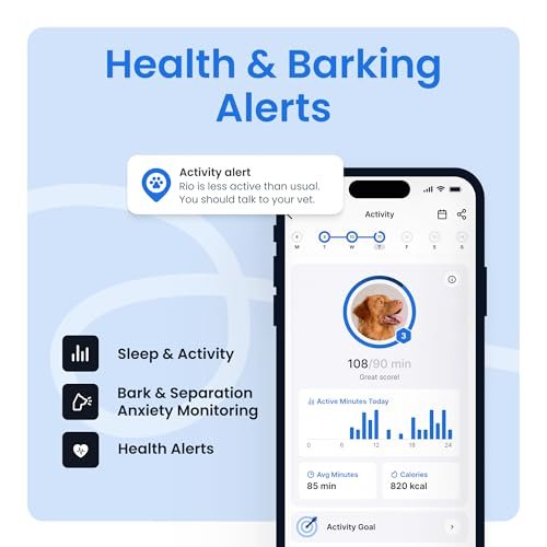 Best Dog Tracker