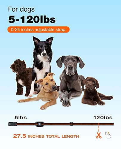 BOUSNIC Dog Shock Collar