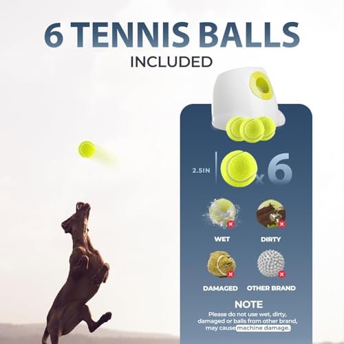 Best Automatic Ball Launcher For Dogs