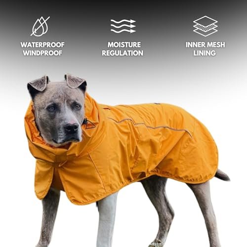 Best Dog Raincoat