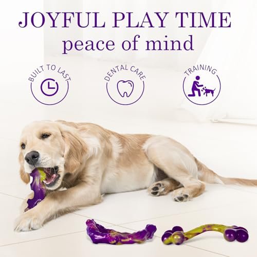 Best Chew Toy For Aggressive Chewers
