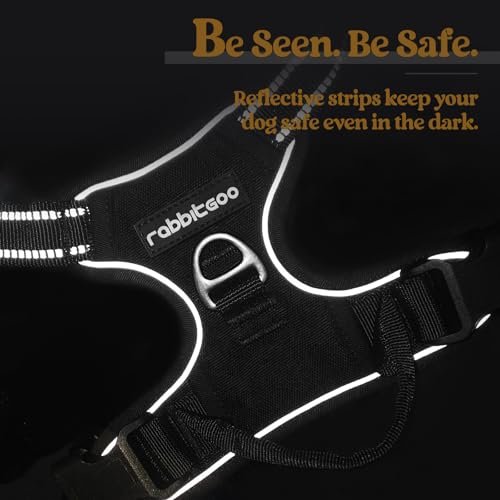 Best Dog Harness