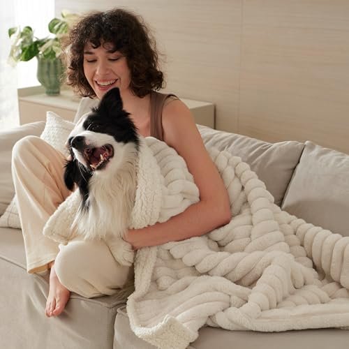 Best Dog Blanket