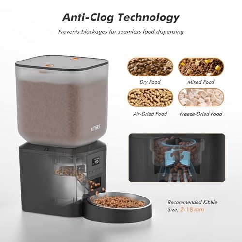 Best Automatic Dog Feeder