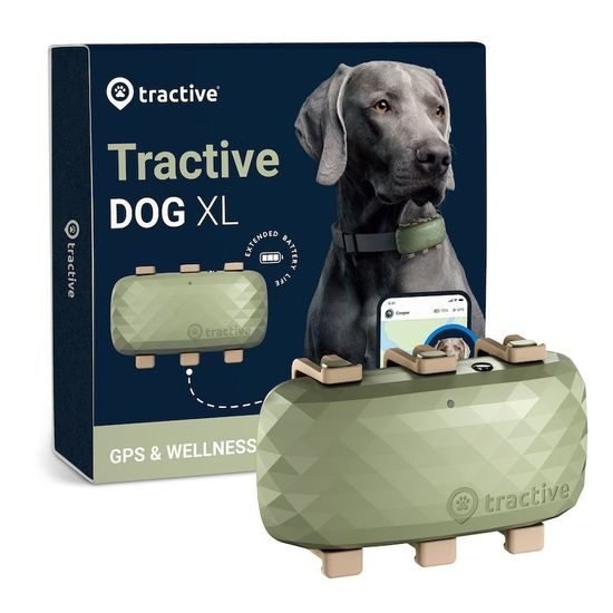 Is Tractive GPS Worth It