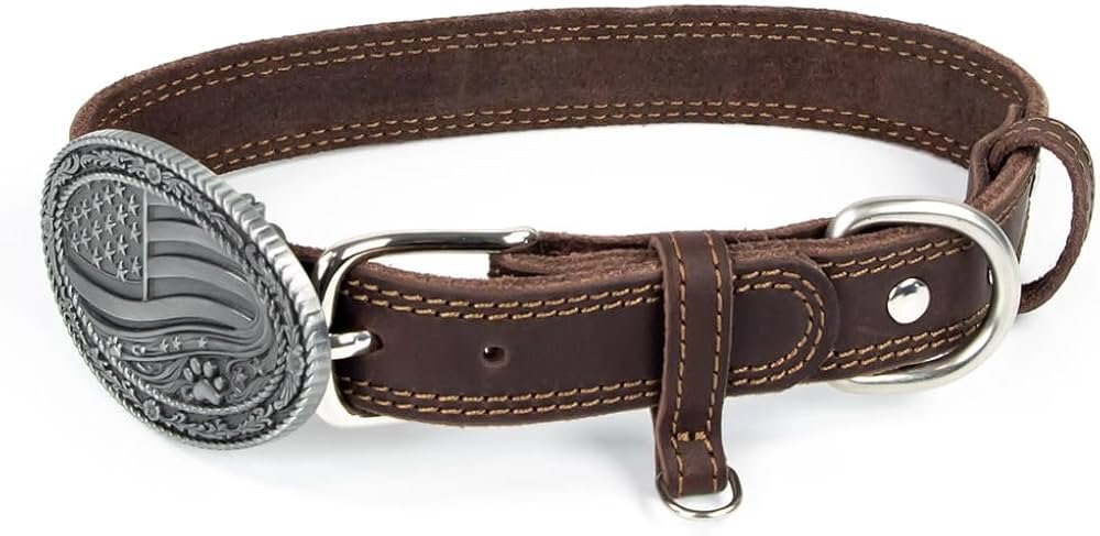 Is Wagz Collar Worth It