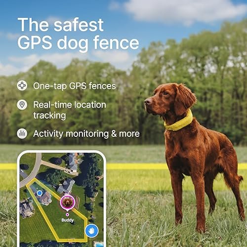 Best GPS Dog Collar