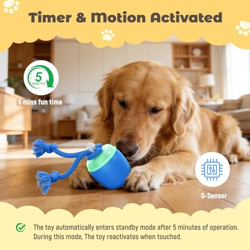 Best Interactive Dog Toy