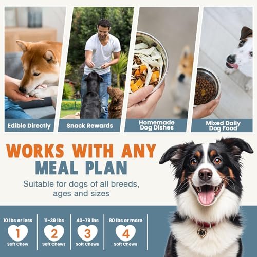 Best Dog Vitamins