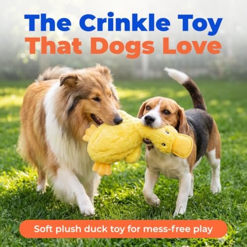 Best Squeaky Dog Toy