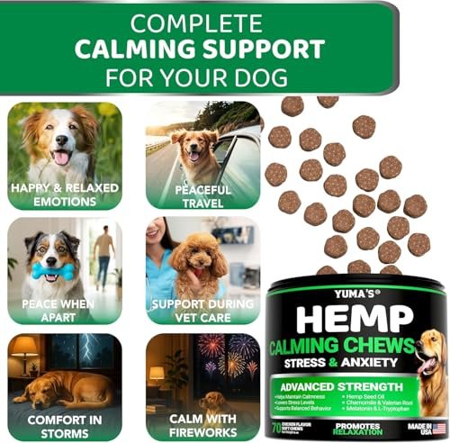 Best Calming Treats For Dogs