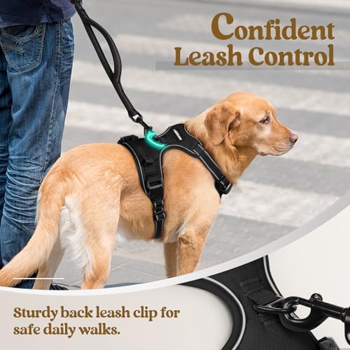 Best No Pull Dog Harness