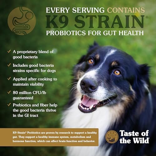 Best Grain Free Dog Food
