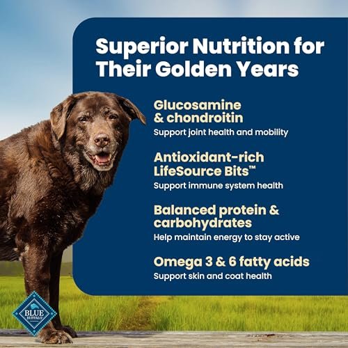 Best Senior Dog Food