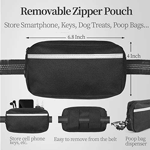 Best Hands Free Dog Leash
