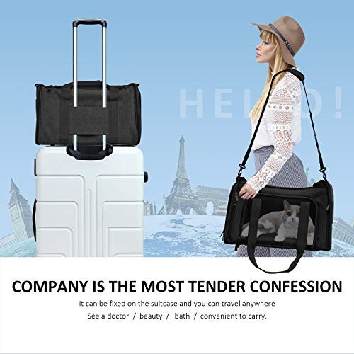 Best Airline Approved Dog Carrier