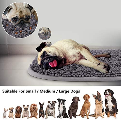Best Snuffle Mat For Dogs