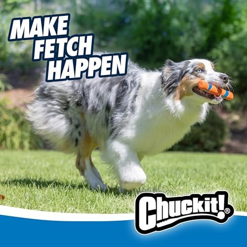 Best Fetch Toy For Dogs