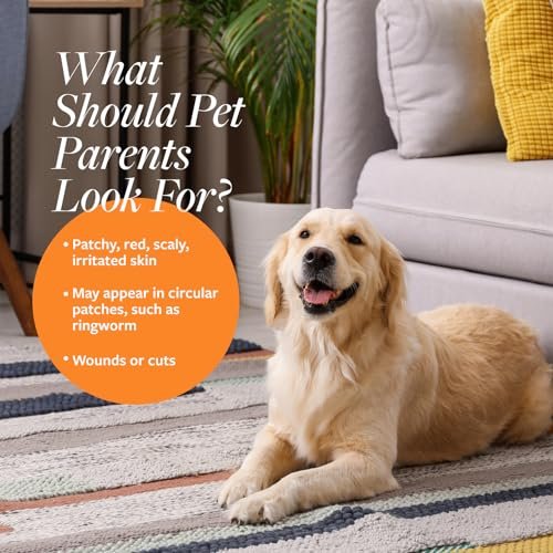 Best Medicated Dog Shampoo