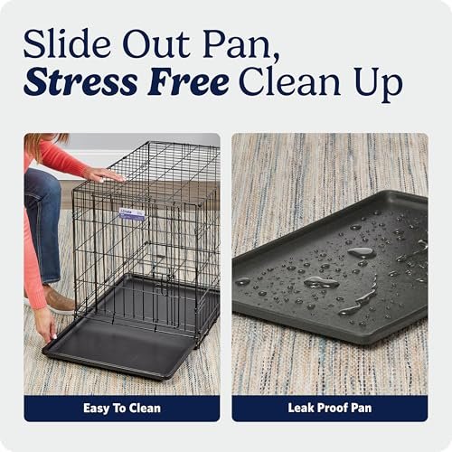 Best Dog Crate