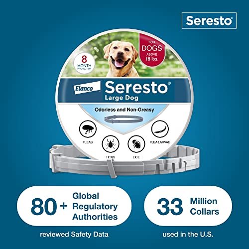 Best Flea Collar For Dogs