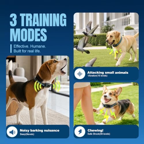 Daxguard Dog Training Collar Review