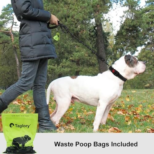 Best Dog Leash