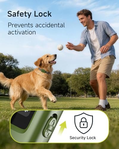 Best Training Collar For Dogs