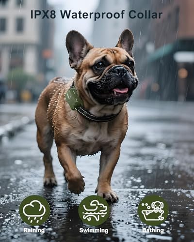 Jugbow Dog Shock Collar Review