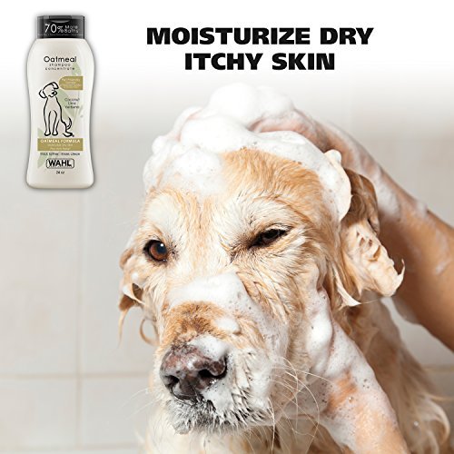Best Dog Shampoo