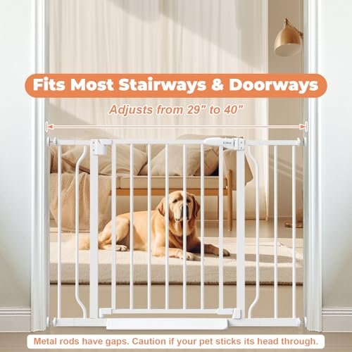 Best Dog Gate