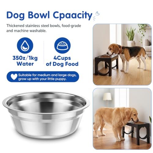 Best Elevated Dog Bowl