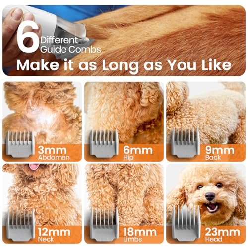 Best Dog Grooming Kit