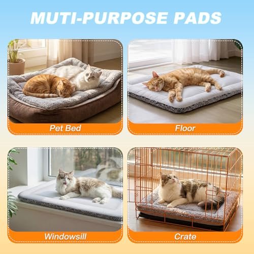Best Heated Dog Bed