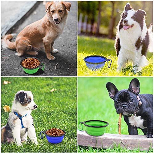 Best Dog Travel Bowl
