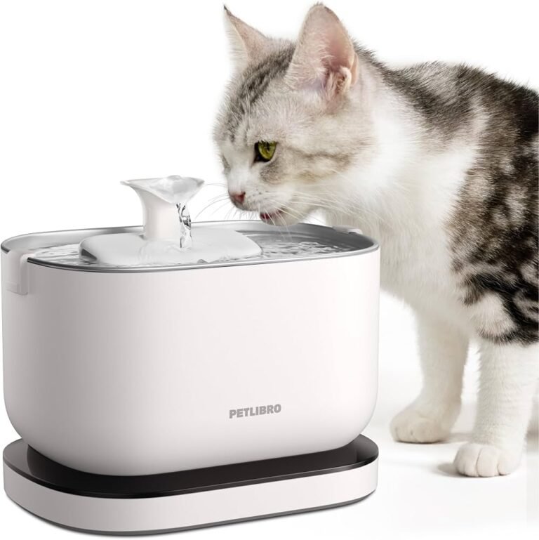 Is Petlibro Water Fountain Worth It