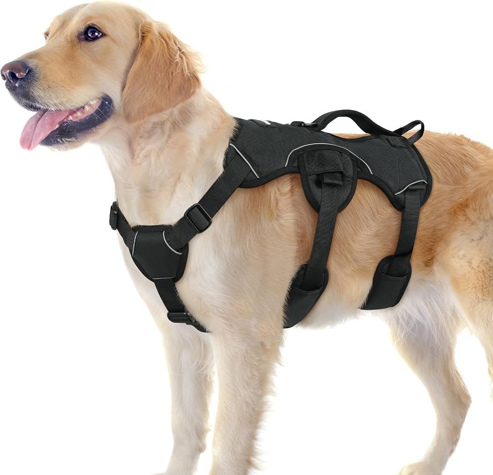 Is Rabbitgoo Harness Worth It