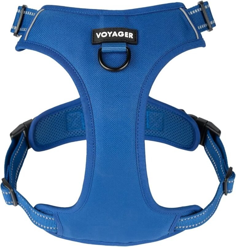 Is Voyager Harness Worth It