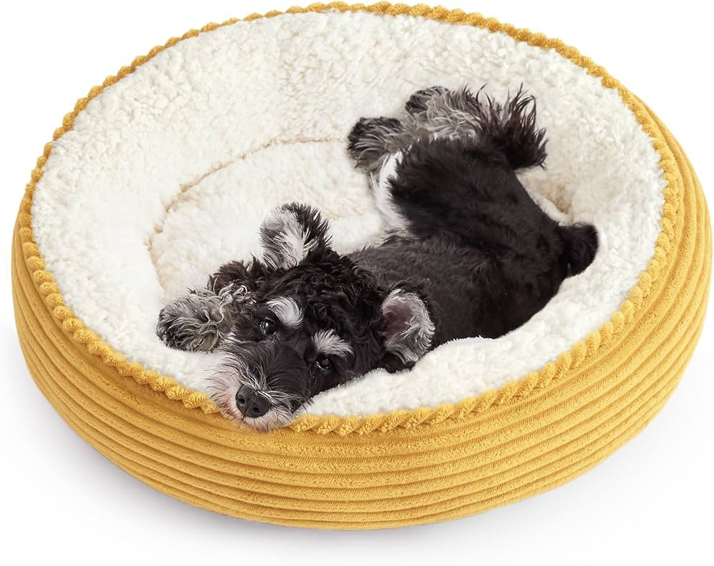 Is Love’s Cabin Dog Bed Worth It: Honest Review