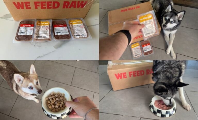 Is We Feed Raw Worth It