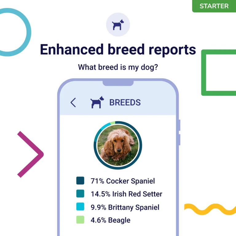 Is DNA My Dog Worth It